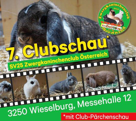 Zwergkaninchenclubschau_1624791000_bearb.jpg 