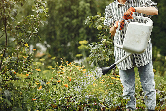 Garten_Gießen_Gießkanne_Sommer_Arbeit_Blumen.jpg 