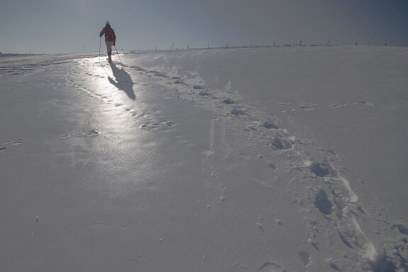 Schneeschuhwanderung_snow-shoe-hike-g66e7b05a7_1920.jpg 