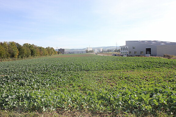 Das noch unbebaute Betriebsgebiet in unmittelbarer Nähe der Umfahrung.