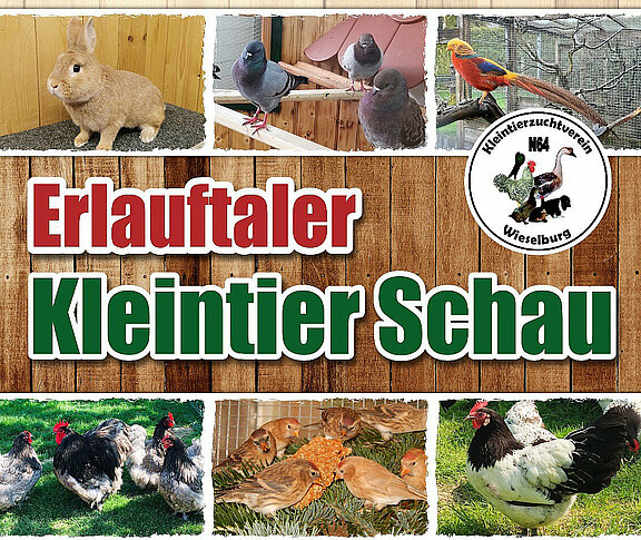 Plakat_2025_Ausschnitt_quer_f__HPjpg.jpg 