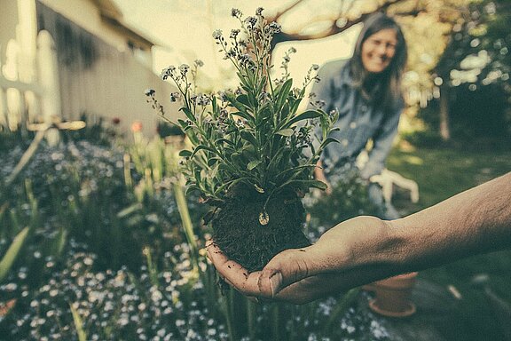 Eine Person hält eine Grünpflanze in der Hand. Im Hintergrund ein Garten samt lächelnder Frau. 