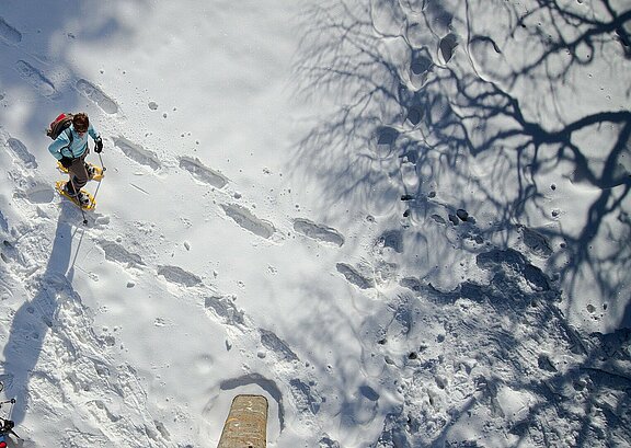 Schneeschuhwanderung_2_snow-shoe-hike-g390511509_1920.jpg 