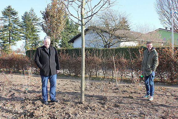 Der erste Baum, der im Stadtwald gepflanzt wurde. Daneben stehen Bürgermeister Josef Leitner und Klaus Moser von der projektverantwortlichen Firma K. u K. Moser GmbH
