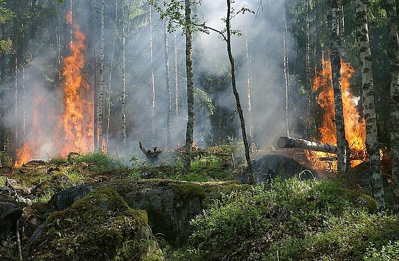 Waldbrand_forest-fire-432870_1280.jpg 