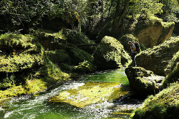 Erlaufschlucht_Via_Aqua.jpg 